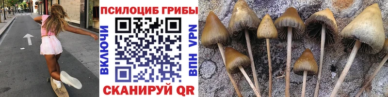 мега ТОР  Богданович  Псилоцибиновые грибы мухоморы 